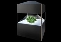 42 pulgadas pirámide olográfica de la exhibición de 360 grados, escaparate virtual de la exhibición del holograma 3d